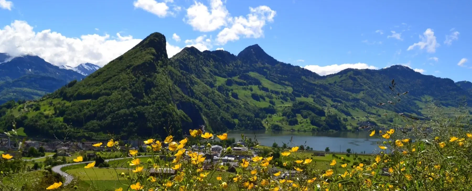 Huisartspraktijk in Seewen, Schwyz